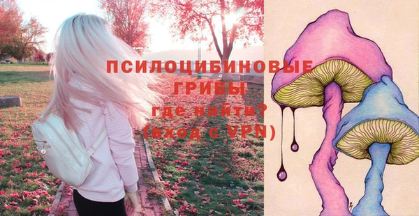 наркотики Алексин